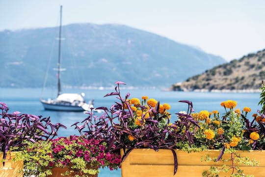 Uma noite em Argostoli com degustação de vinhos