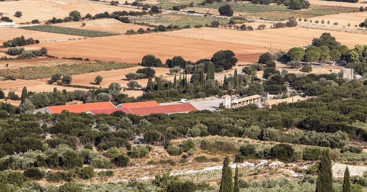 An Evening in Argostoli with Wine Tasting