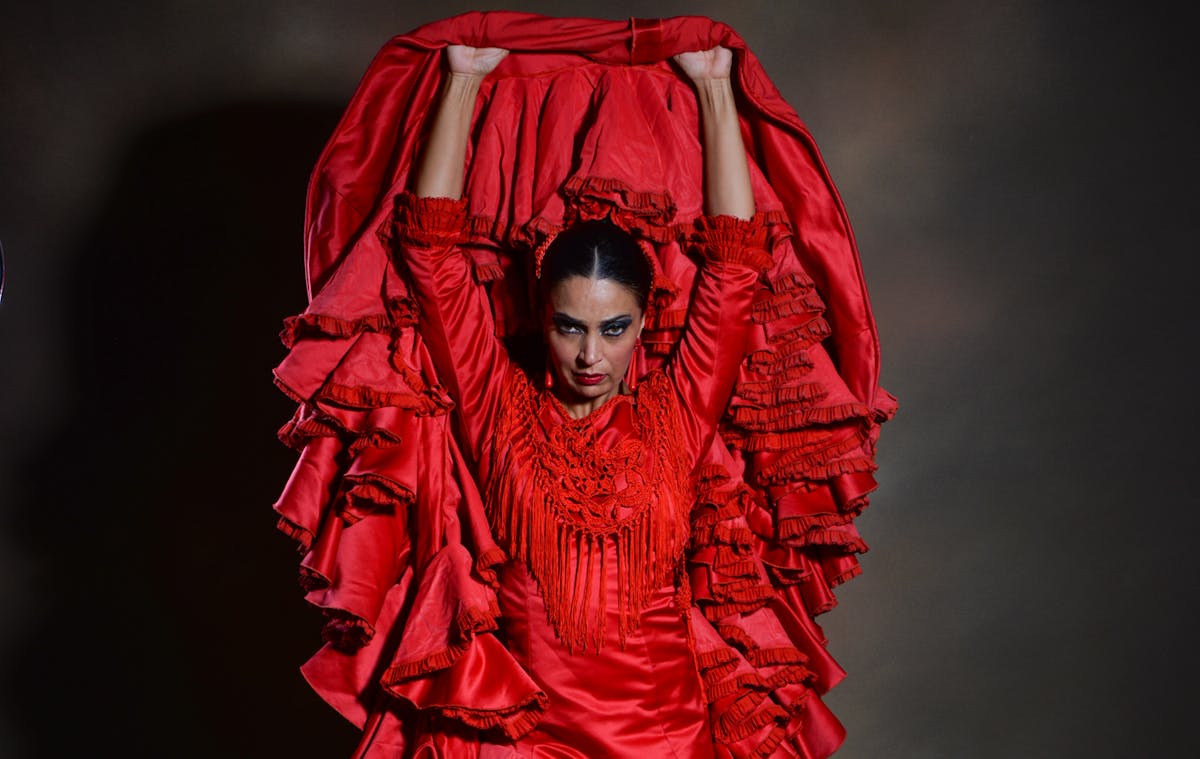 De eersteklas ervaring in het Teatro Flamenco Málaga