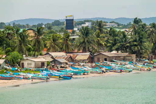 Whale & Dolphin Watching Boat Trip with Trincomalee Tour from the East Coast