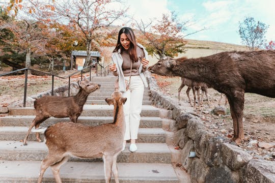 Nara, Kyoto and Fushimi Inari Guided Tour from Osaka