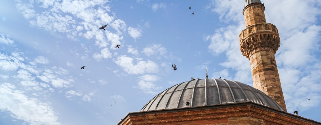 Izmir city tour and aquarium visit