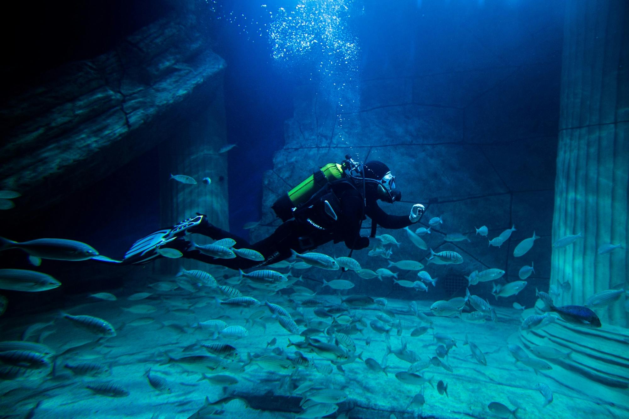 Izmir City Tour & Aquarium