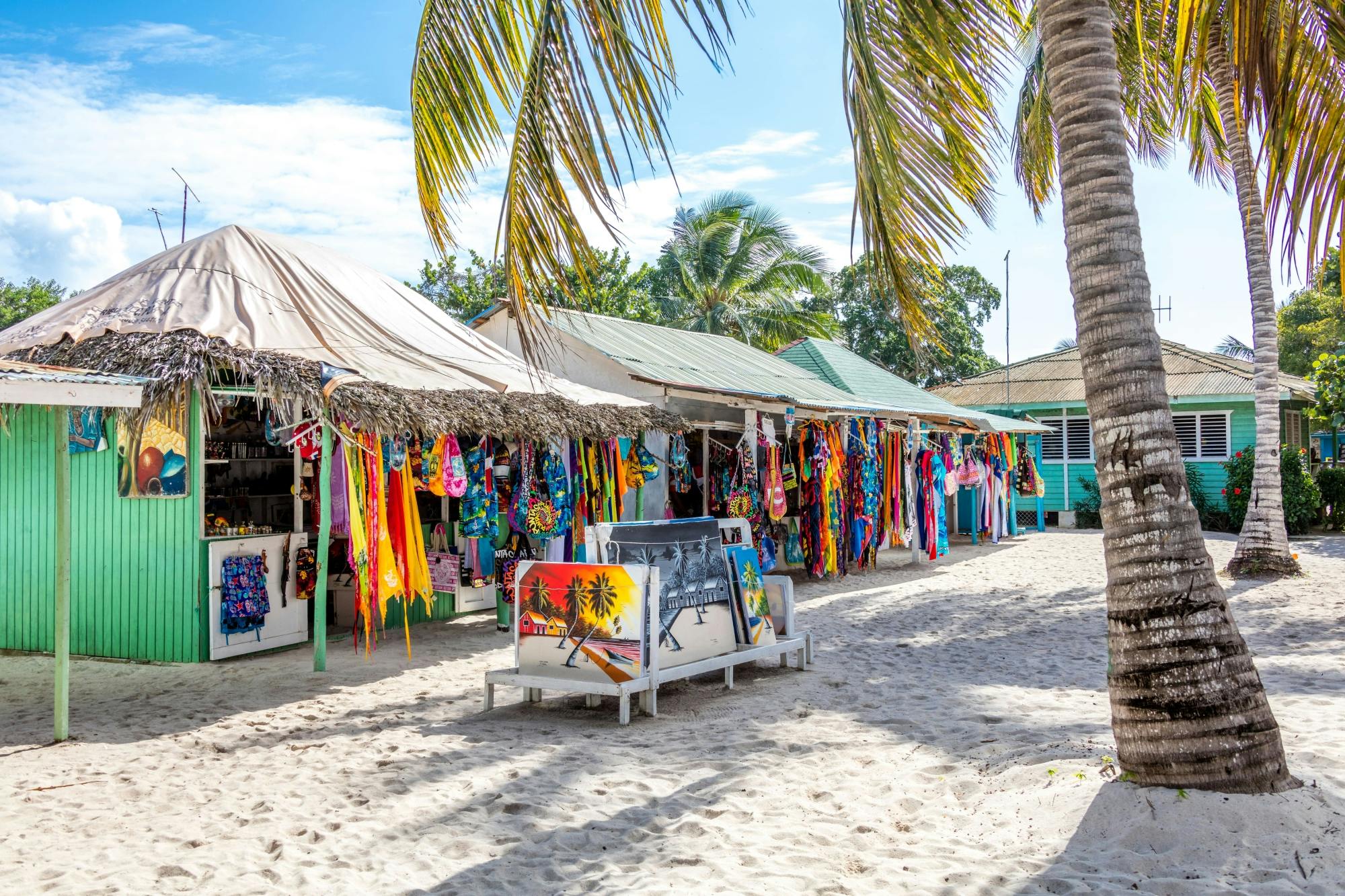 Saona Island Cruise with Private Beach and Lunch