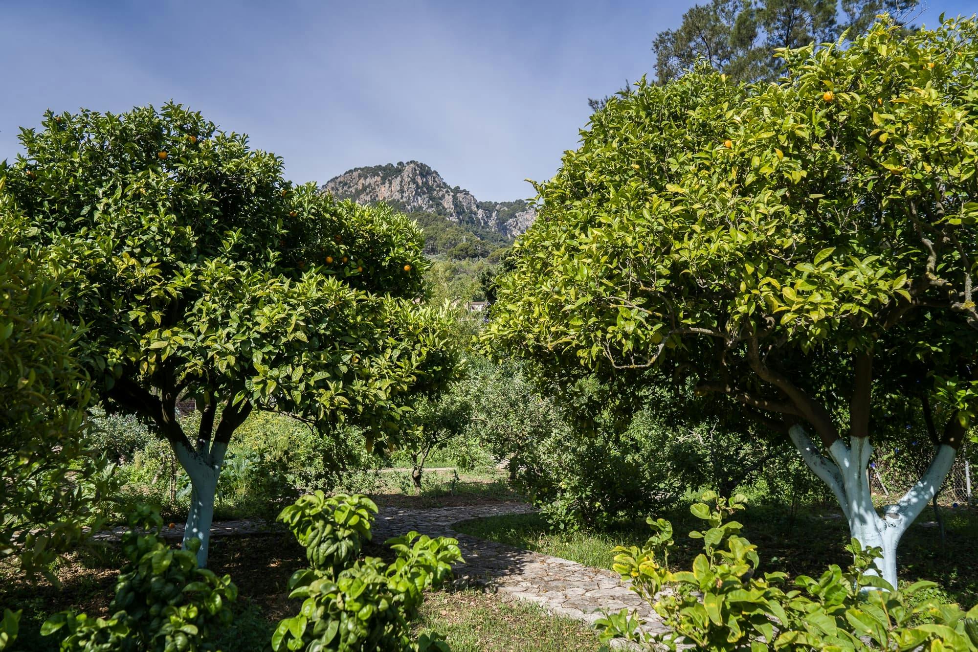 Nat Geo Day Tour: The Valley of the Oranges