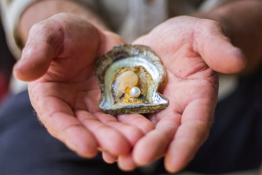 Broken Bay pearl farm tour