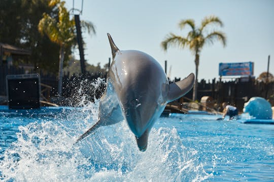 Ingressos para o Parque Mundomar