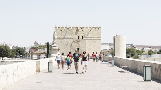 Tour di un giorno a Cordova con partenza da Siviglia