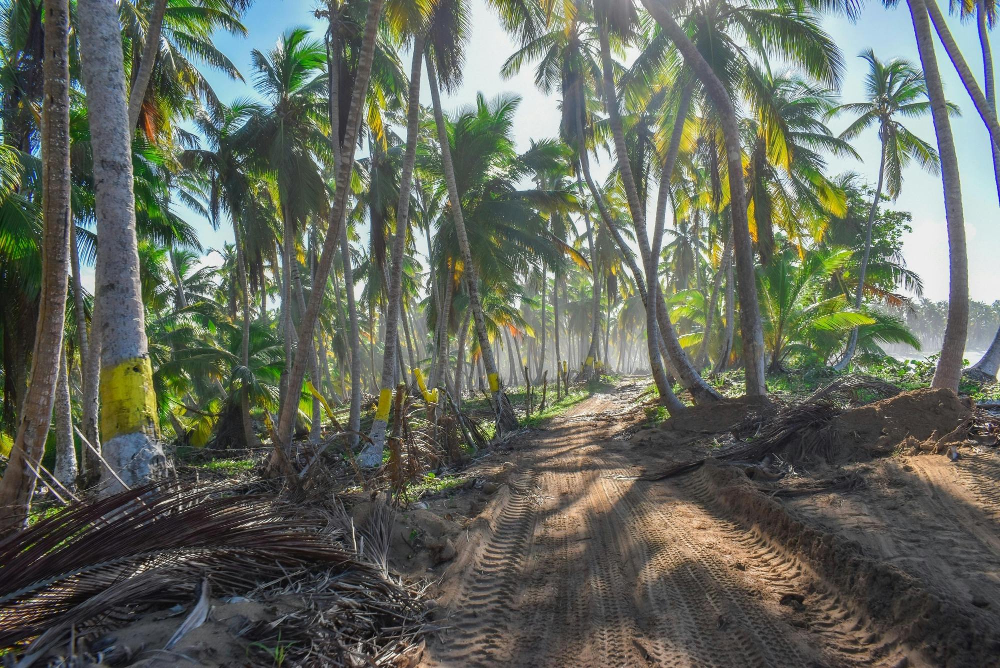 Full-day tour of Dominican’s El Limon with horse ride and 4x4