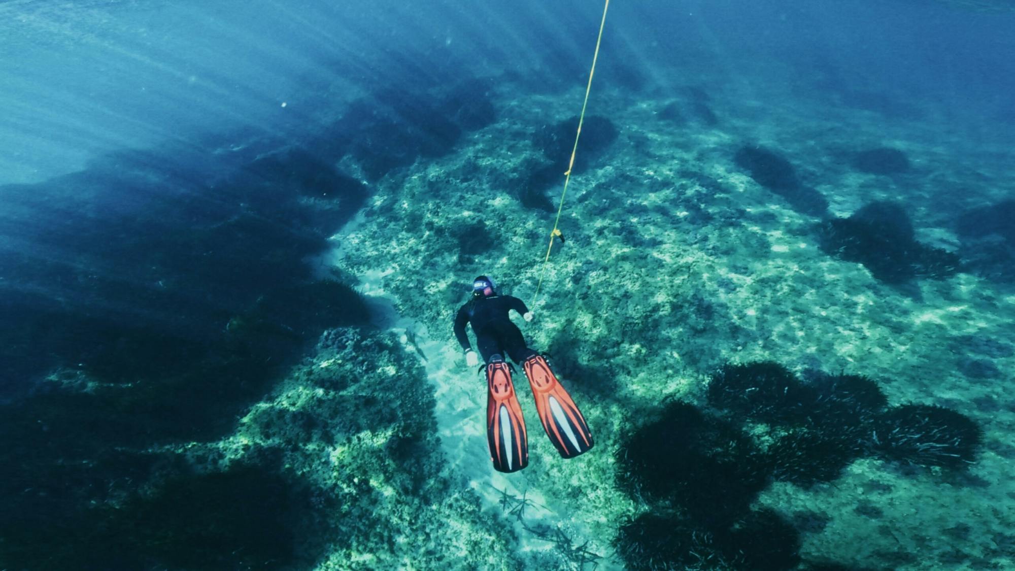 Passeio de Snorkeling com Guias Certificados em Cambrils