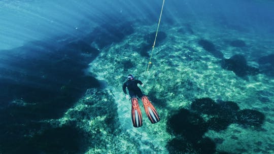 Passeio de Snorkeling com Guias Certificados em Cambrils