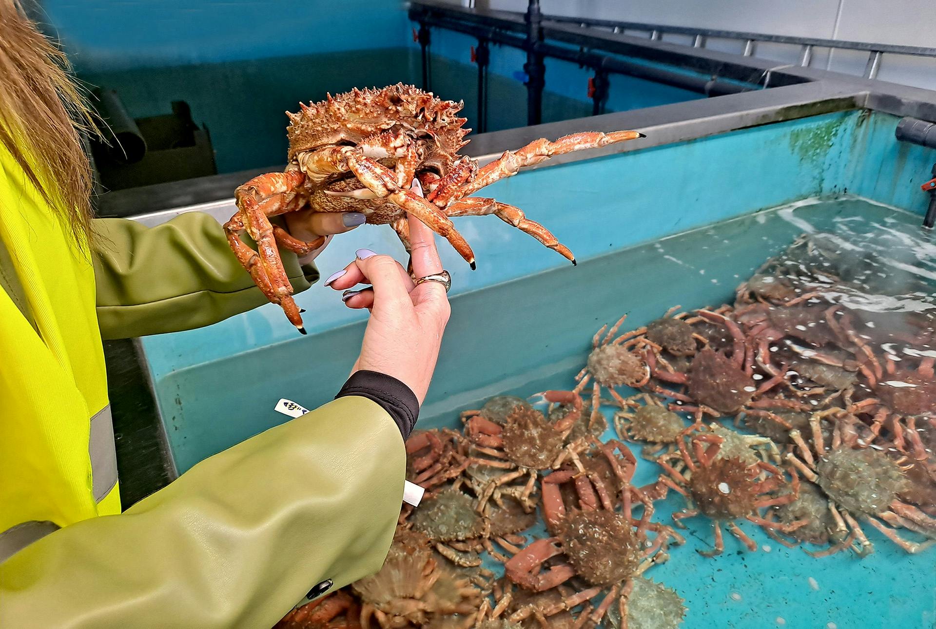 Guided Tour of the Fishing Port & Visit to a Shellfish Nursery