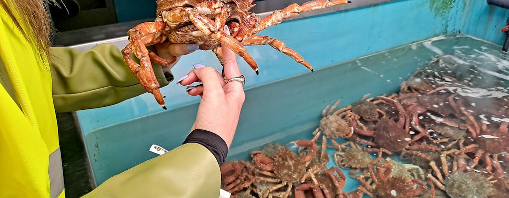 Guided Tour of the Fishing Port & Visit to a Shellfish Nursery