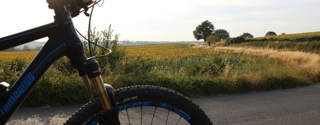 Scenic E-Bike Tour in Chianti Wine Region with Lunch