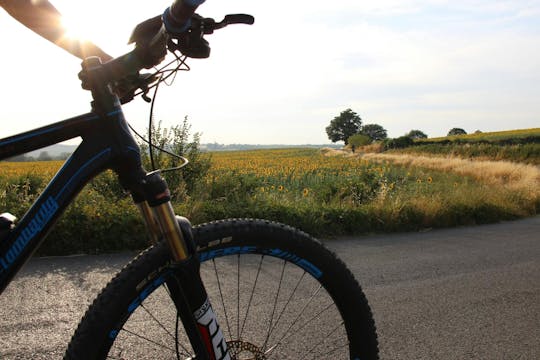 Passeio panorâmico de bicicleta elétrica na região vinícola de Chianti com almoço