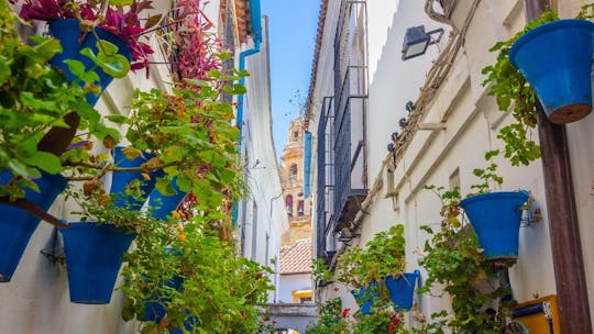 Tagesausflug von Málaga nach Córdoba mit optionaler Führung