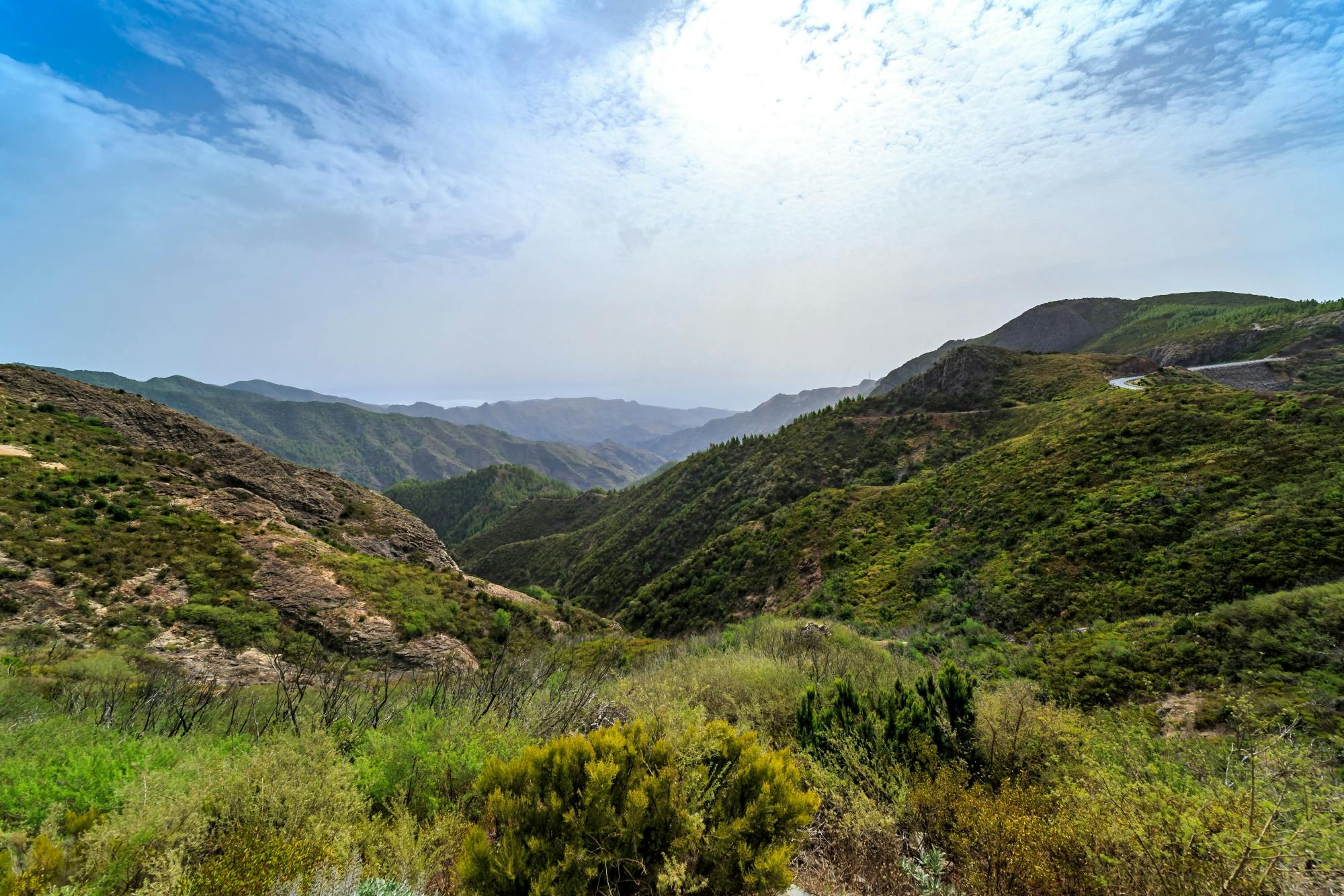 La Gomera Tour with Garajonay Forest and San Sebastian