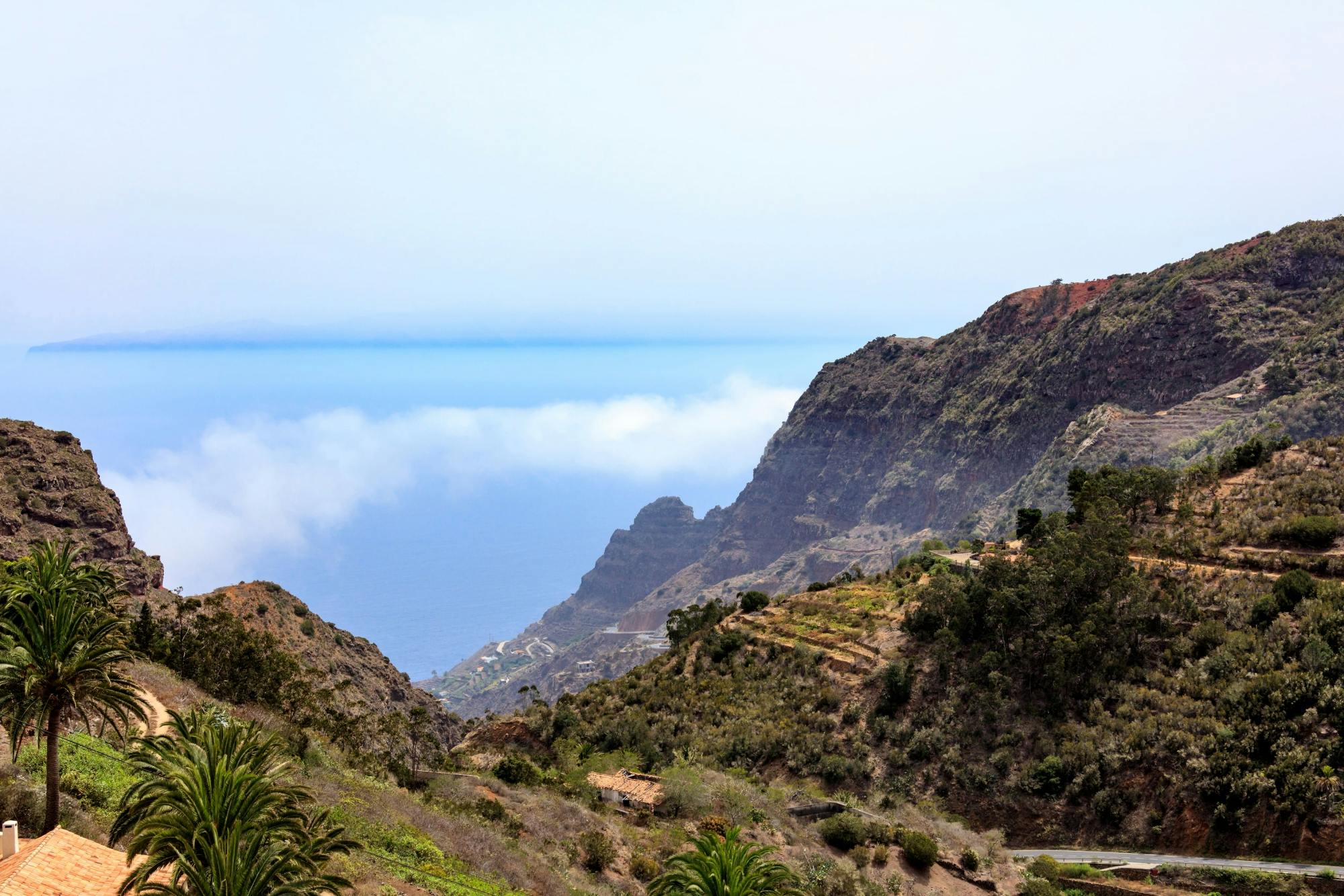 VIP guided tour of La Gomera with Garajonay Park and lunch