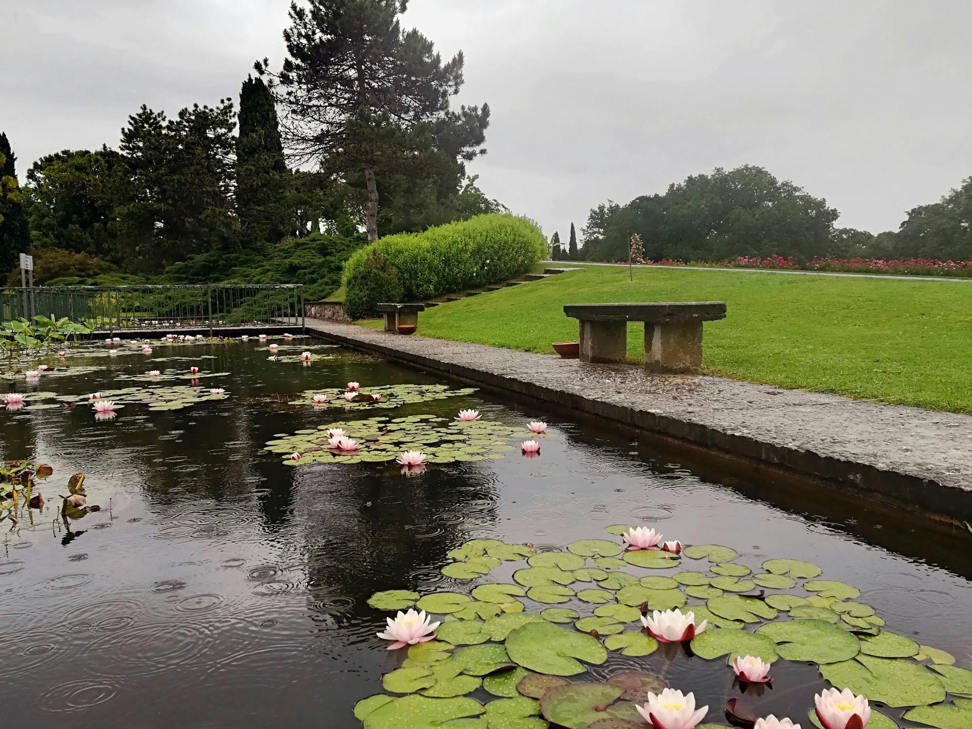 Borghetto full-day tour with pasta tasting and Sigurtà Gardens