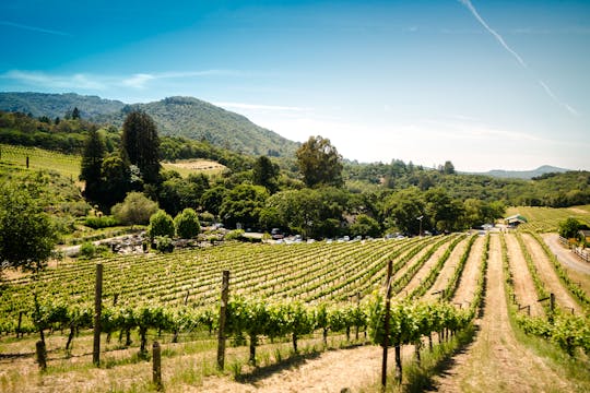 Visite des vignobles de Sonoma et de la Napa Valley au départ de San Francisco