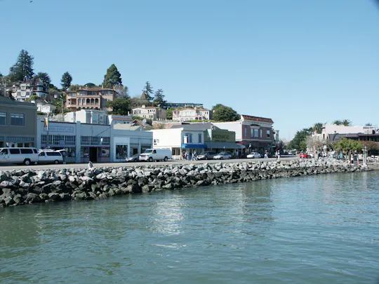 Muir Woods and Sausalito guided tour with transportation