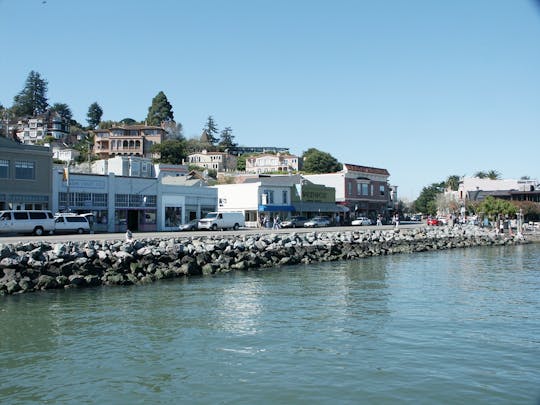 Visite guidée de Muir Woods et Sausalito avec transport