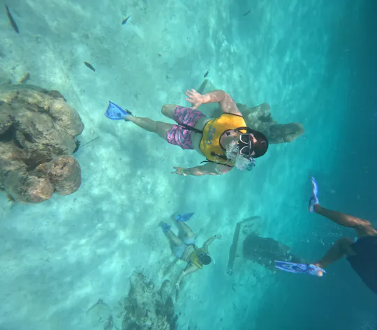 Schnorchelerlebnis in Cancun mit Schildkröten, Riffen und Schiffswrack