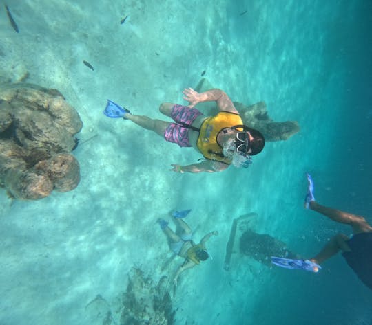 Expérience de plongée avec tuba à Cancun avec tortues, récif et épave