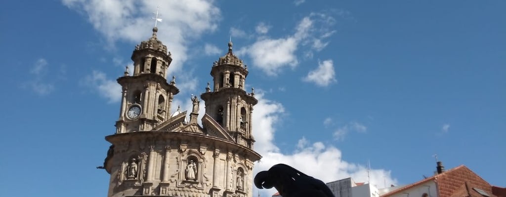Visita privada a Pontevedra
