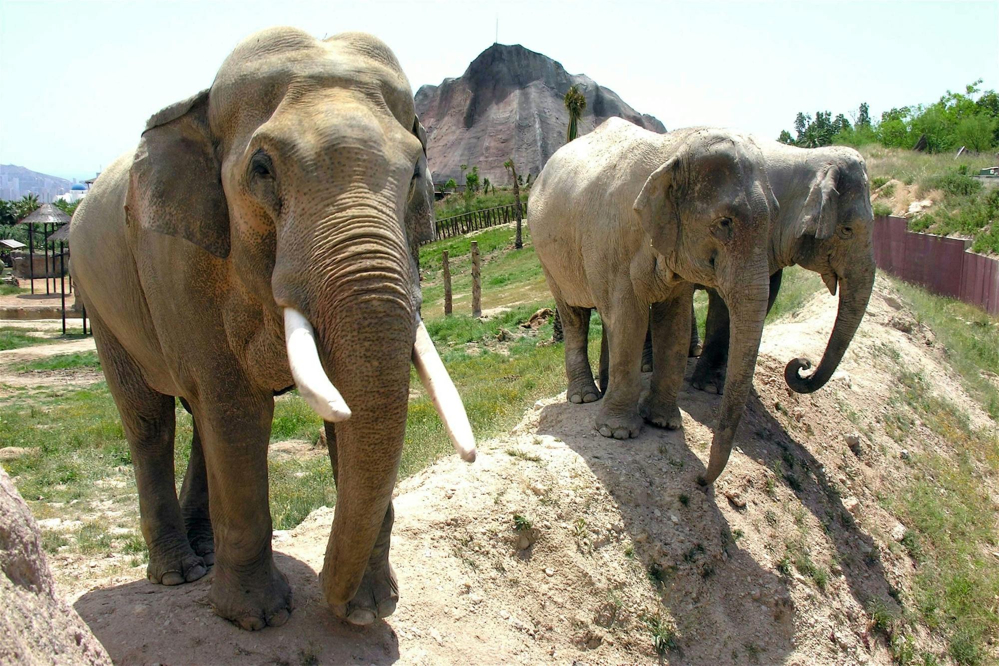 Terra Natura and/or Aqua Natura Parks with Transport