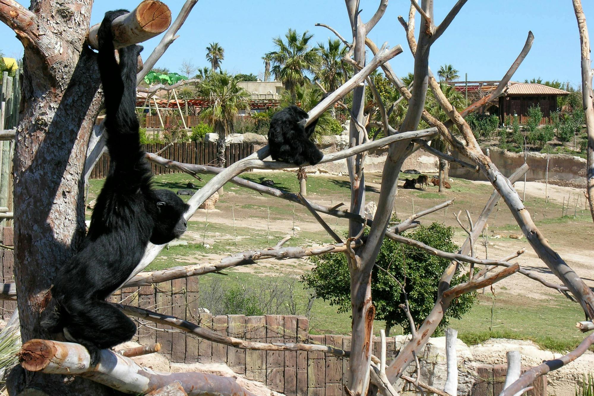 Terra Natura and/or Aqua Natura Parks with Transport