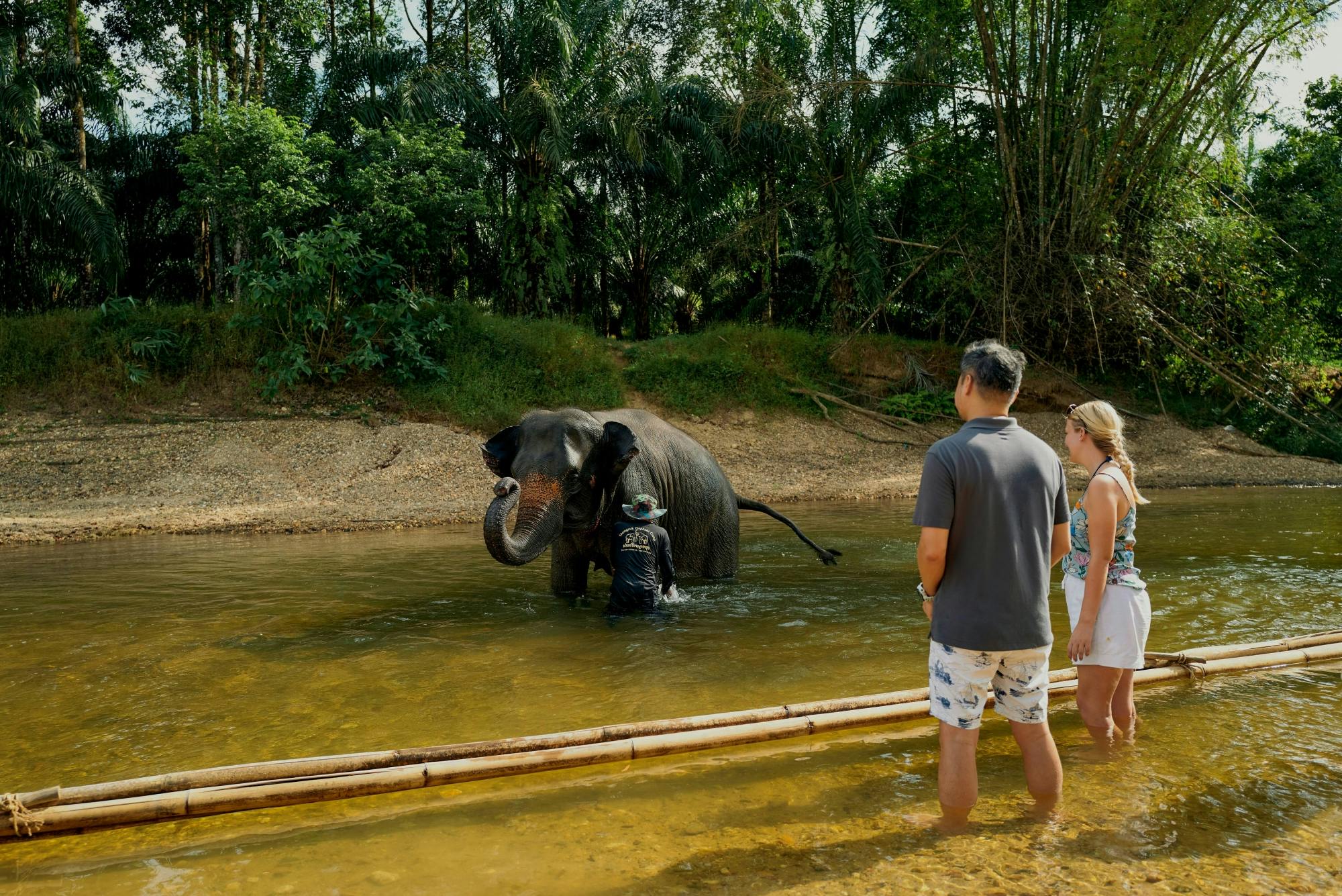 Full-day Khao Sok tour with elephant sanctuary and bamboo rafting