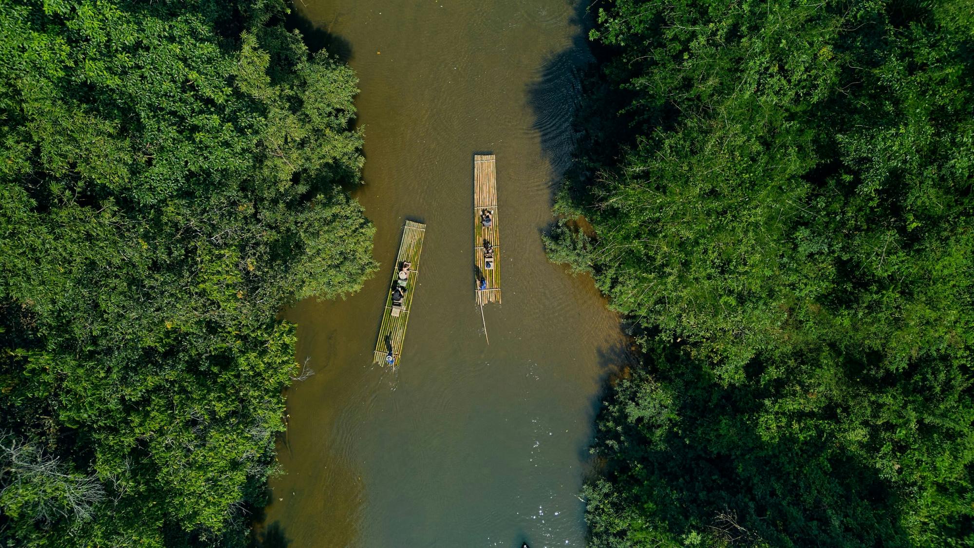 Full-day river rafting and elephant sanctuary tour with lunch