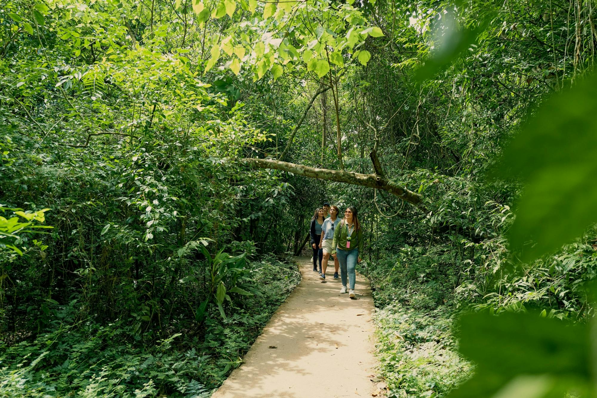 Full-day Krabi Jungle tour with Hot Spring and Tiger Cave Temple visit