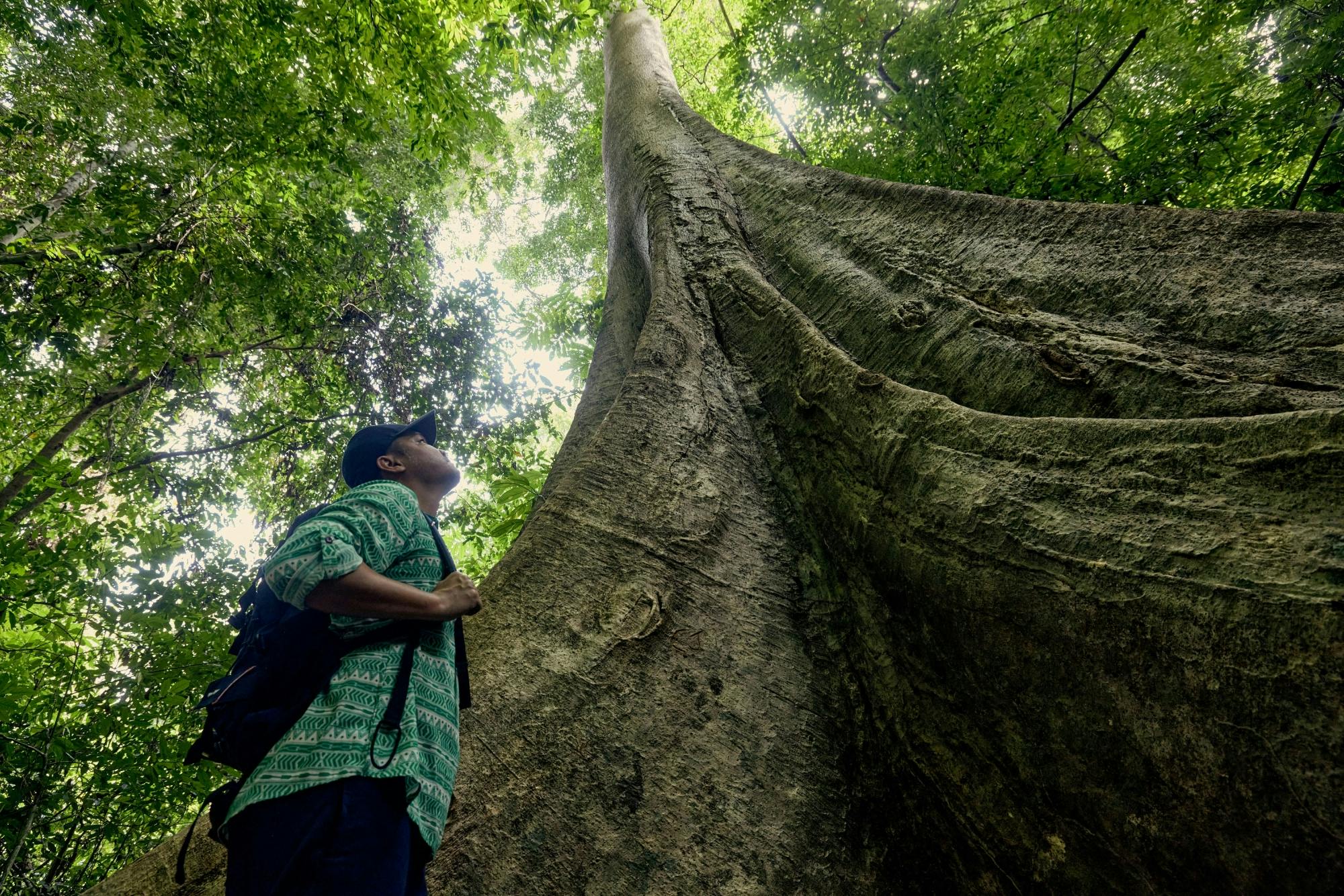 Full-day Krabi Jungle tour with Hot Spring and Tiger Cave Temple visit