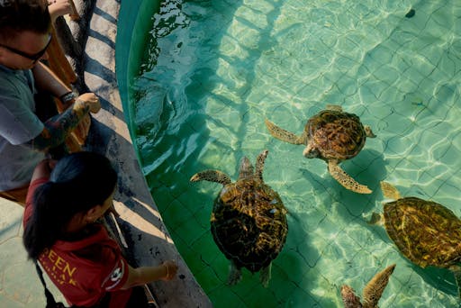Full-day Khao Lak highlights tour with Buddhist temple blessing