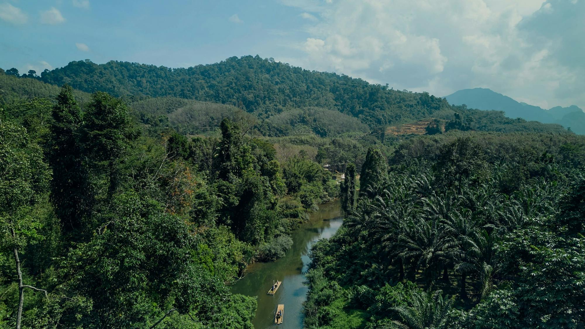 Full-day Khao Sok tour with elephant sanctuary and bamboo rafting