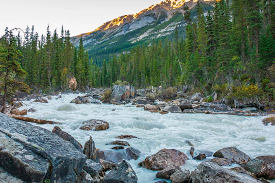 Self-guided Canadian Rockies drive and walk with audio tour
