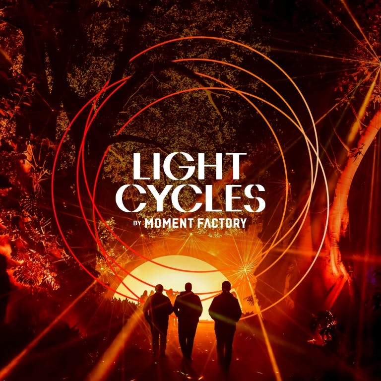 Light Cycles: Een stralende nachtwandeling door de natuur, licht en geluid