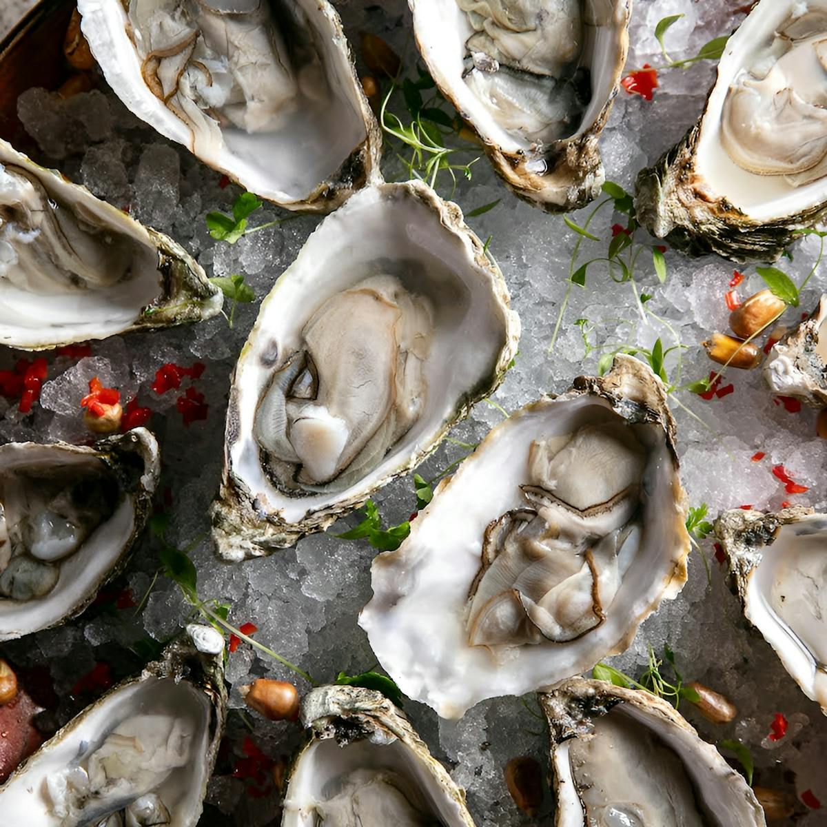 Oyster Happy Hour met bubbels en livemuziek in Londen