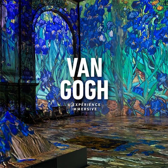 Van Gogh The Immersive Experience in Lyon