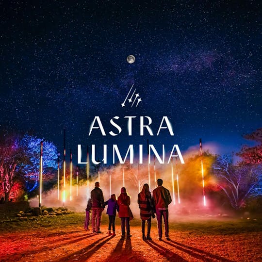 Astra Lumina Enchanted Night Walk Amongst the Stars in Seattle