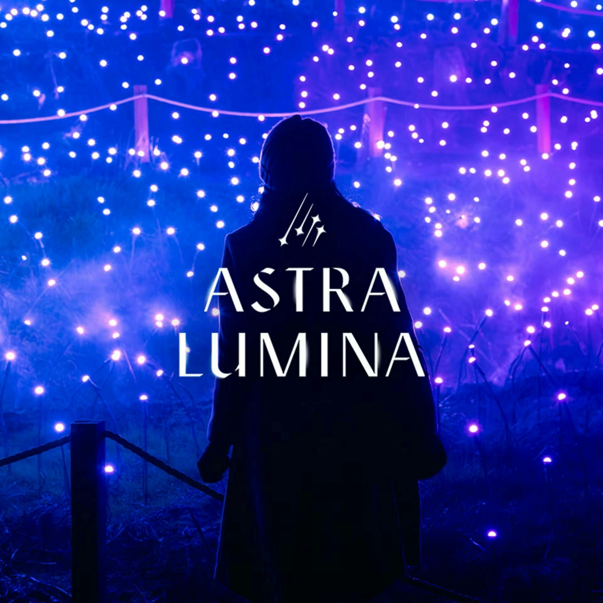 Astra Lumina Enchanted Night Walk Amongst the Stars in Philadelphia