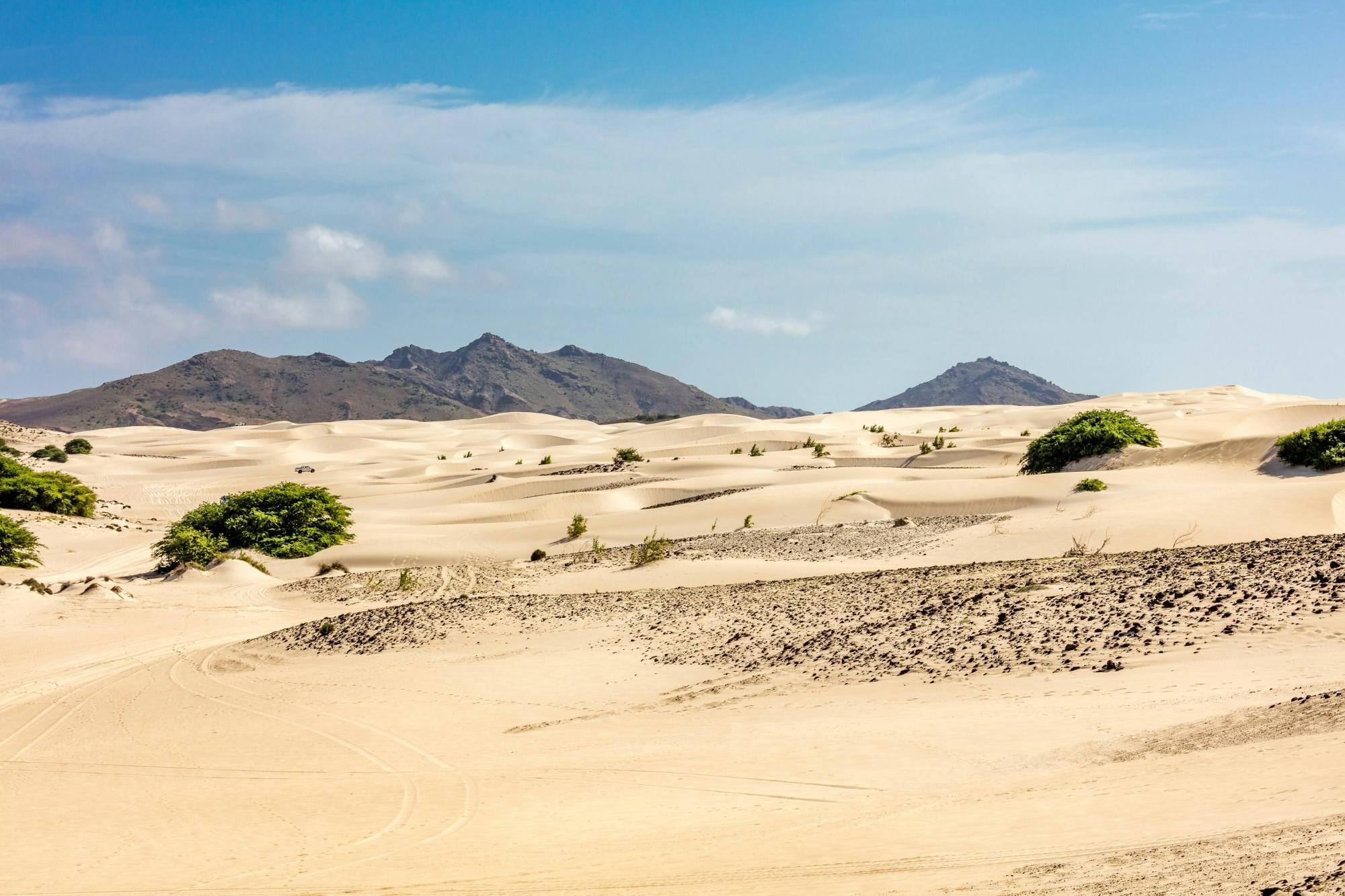 Boa Vista full-day 4x4 island tour with beachfront lunch