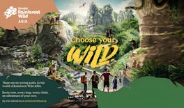 Rainforest Wild Asia