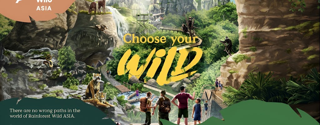 Rainforest Wild Asia