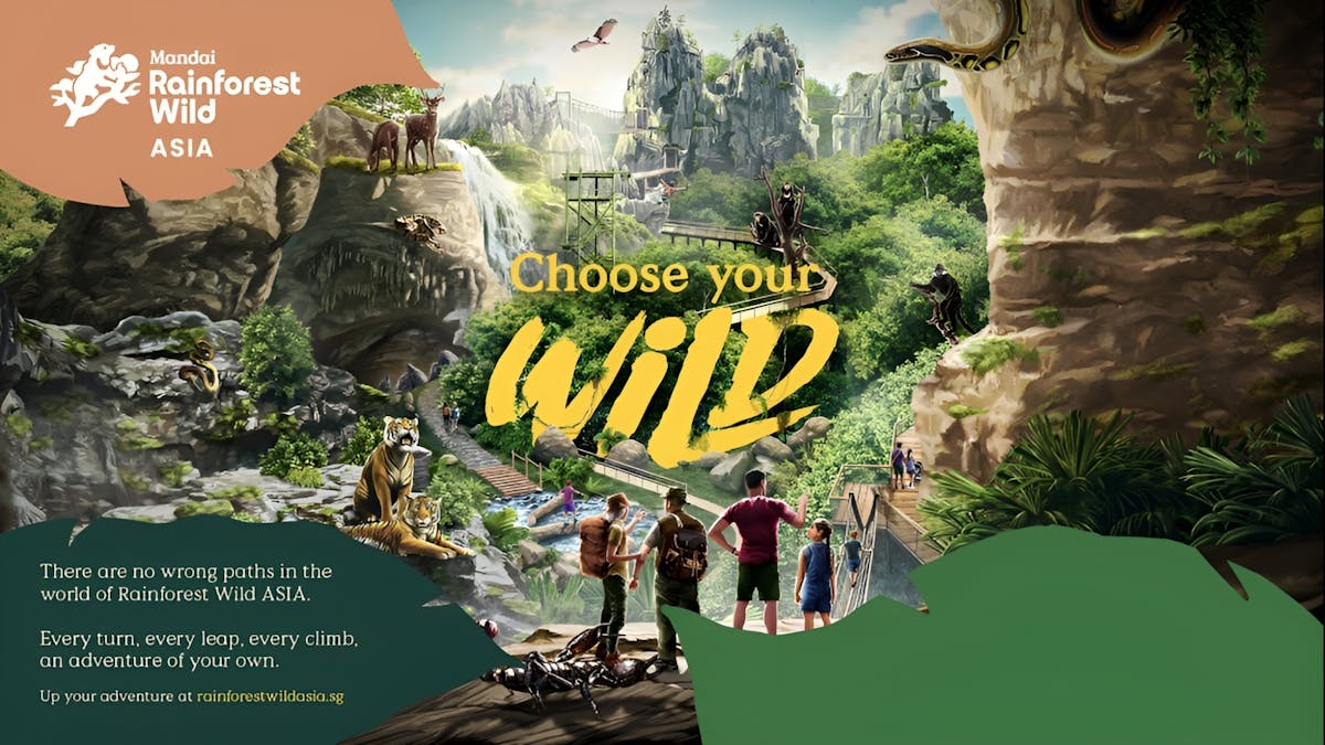 Foresta pluviale selvaggia Asia