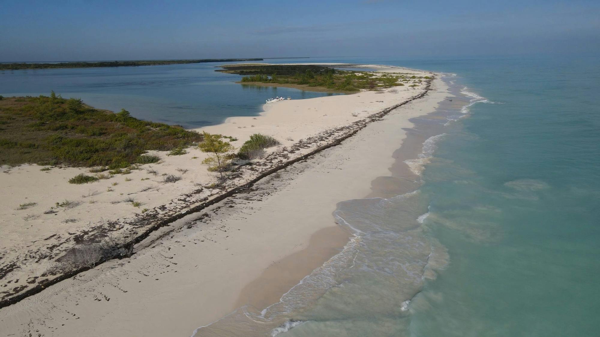 Mexican speedboat safari tour to Isla Blanca