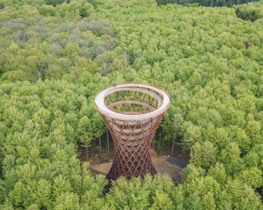 Excursão de dia inteiro à Forest Tower e aos Gigantes Esquecidos saindo de Copenhague