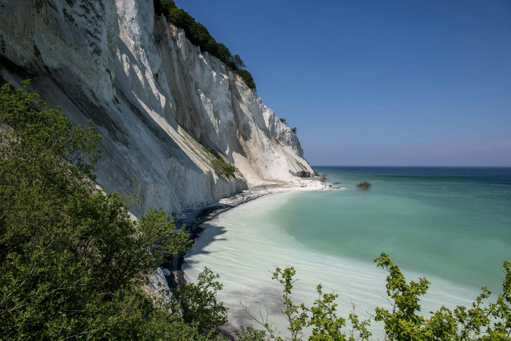 Całodniowa wycieczka do Møns Klint i wieży The Forest z Kopenhagi